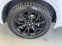 Thumbnail image of 2019 Dodge Durango at Nelson Mazda