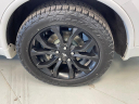 Thumbnail image of 2019 Dodge Durango at Nelson Mazda