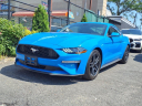Thumbnail image of 2023 Ford Mustang at Silverline Auto Group