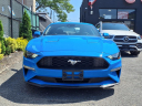 Thumbnail image of 2023 Ford Mustang at Silverline Auto Group