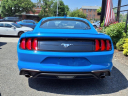 Thumbnail image of 2023 Ford Mustang at Silverline Auto Group