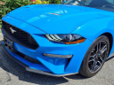 Thumbnail image of 2023 Ford Mustang at Silverline Auto Group