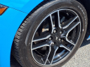 Thumbnail image of 2023 Ford Mustang at Silverline Auto Group