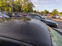 Thumbnail image of 2015 Dodge Charger at Fred Anderson Toyota Of Charleston
