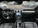 Thumbnail image of 2021 Ford Mustang at Champion Auto Sales of Hillside LLC