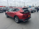 Thumbnail image of 2022 Honda CR-V at Bronco Auto Group USED