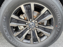 Thumbnail image of 2019 Nissan Armada at Lancaster Dodge