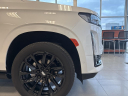 Thumbnail image of 2024 Cadillac Escalade at Wetzel Chrysler Jeep Dodge Ram