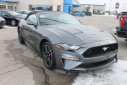 Thumbnail image of 2022 Ford Mustang at Thelen Auto Group