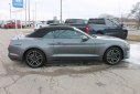 Thumbnail image of 2022 Ford Mustang at Thelen Auto Group