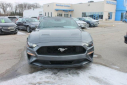 Thumbnail image of 2022 Ford Mustang at Thelen Auto Group
