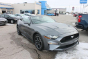 Thumbnail image of 2022 Ford Mustang at Thelen Auto Group