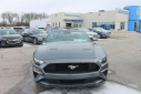 Thumbnail image of 2022 Ford Mustang at Thelen Auto Group