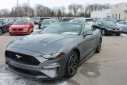 Thumbnail image of 2022 Ford Mustang at Thelen Auto Group