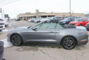 Thumbnail image of 2022 Ford Mustang at Thelen Auto Group