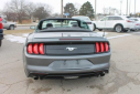 Thumbnail image of 2022 Ford Mustang at Thelen Auto Group