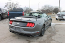 Thumbnail image of 2022 Ford Mustang at Thelen Auto Group