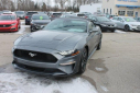Thumbnail image of 2022 Ford Mustang at Thelen Auto Group