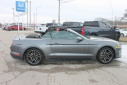 Thumbnail image of 2022 Ford Mustang at Thelen Auto Group