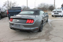 Thumbnail image of 2022 Ford Mustang at Thelen Auto Group