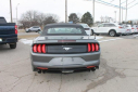 Thumbnail image of 2022 Ford Mustang at Thelen Auto Group