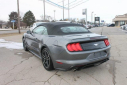 Thumbnail image of 2022 Ford Mustang at Thelen Auto Group