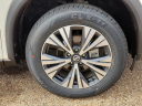 Thumbnail image of 2021 Nissan Rogue at Frank Brown Honda GMC
