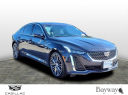 Thumbnail image of 2024 Cadillac CT5 at Bayway Cadillac Of The Woodlands