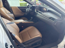 Thumbnail image of 2019 Lexus ES 350 at ToyotaOfSomerset of Somerset, KY