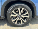 Thumbnail image of 2022 Subaru Forester at Grand Prix Subaru