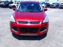 Thumbnail image of 2016 Ford Escape at Duncan Ford Chrysler