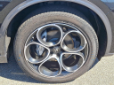 Thumbnail image of 2023 Alfa Romeo Stelvio at Brogan Cadillac of Totowa