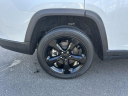 Thumbnail image of 2023 Jeep Grand Cherokee L at Palmer Dodge - New
