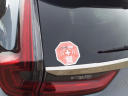 Thumbnail image of 2022 Honda CR-V at Mountaineer Honda
