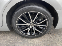 Thumbnail image of 2021 Toyota Camry at Cavender Toyota