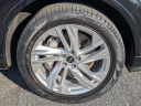 Thumbnail image of 2023 Audi Q7 at Antwerpen Toyota New