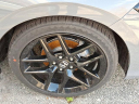 Thumbnail image of 2025 Honda Civic at Martin Main Line Honda USED