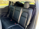 Thumbnail image of 2021 Tesla Model Y at Auto Group of Louisville