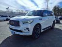 Thumbnail image of 2023 INFINITI QX80 at Douglas Infiniti