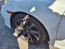 Thumbnail image of 2019 Honda Civic at Bronx Honda