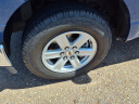 2023 Ford F-150 XLT at Teague Ford Lincoln