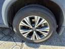 Thumbnail image of 2022 Nissan Rogue at Nissan 46