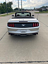 Thumbnail image of 2017 Ford Mustang at South Broadway Auto Plex