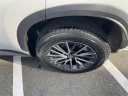 Thumbnail image of 2025 Lexus NX 350 at Lexus of Smithtown