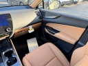 Thumbnail image of 2025 Lexus NX 350 at Lexus of Smithtown