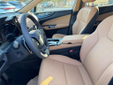 Thumbnail image of 2025 Lexus NX 350 at Lexus of Smithtown