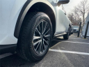 Thumbnail image of 2025 Lexus NX 350 at Lexus of Smithtown