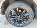 Thumbnail image of 2017 Ford Explorer at Wilson Auto Family