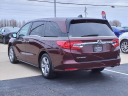 Thumbnail image of 2020 Honda Odyssey at Serra Buick Gmc Champaign