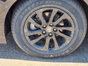 Thumbnail image of 2022 Toyota Prius at Paul Blouin Performance